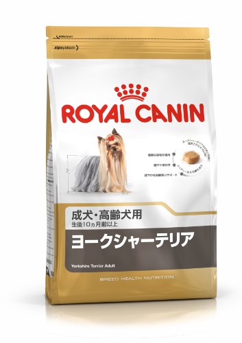 RC Yorkshire Terrier - 1.5KG