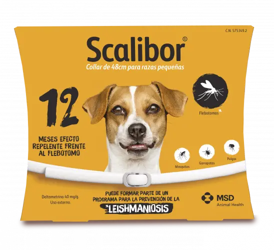 Scalibor Collar Antiparasitario para Razas Mini 48cm