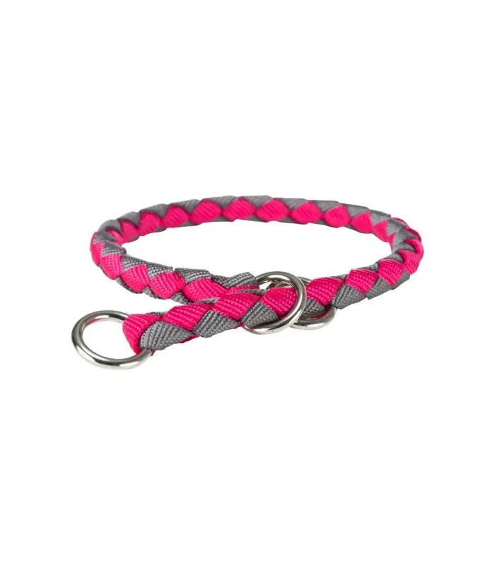 Trixie Collar Entrenamiento Fucsia y Grafito