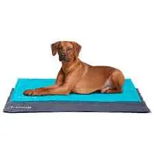 Freedog alfombra refrescante L 90x50cm