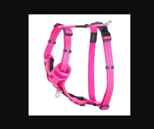 Arnes Control Rogz para Perro